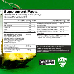 BARE PERFORMANCE NUTRITION Strong Greens scoop dispensing powder for easy daily nutrition.