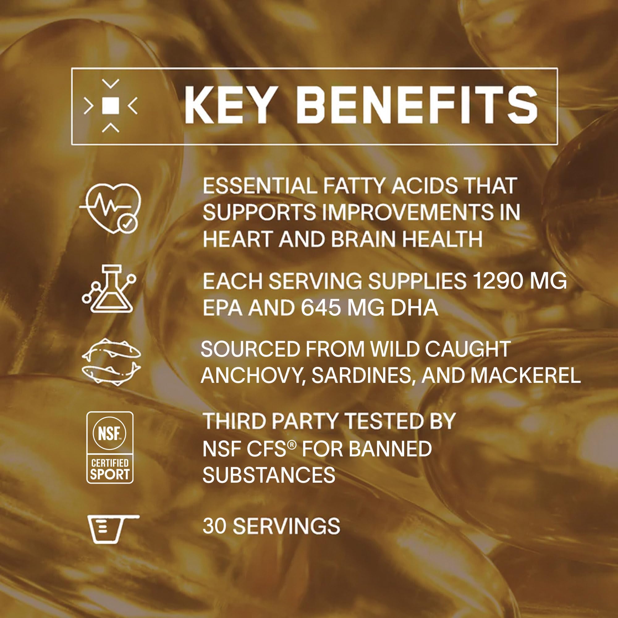 BARE PERFORMANCE NUTRITION Anchovy origin image emphasizes wild caught and sustainable sourcing.