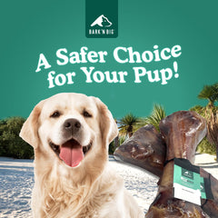BARK'N BIG large-dog chew session showing a durable bone.