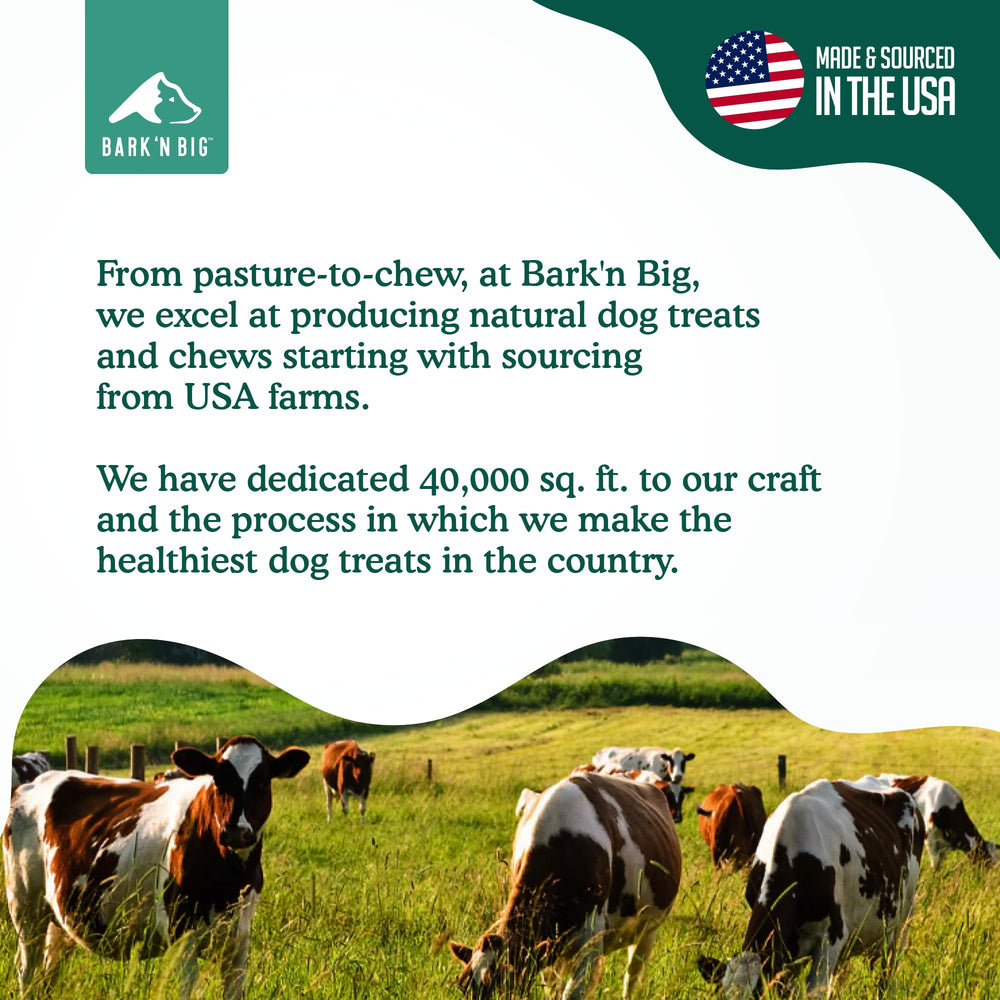 BARK'N BIG single-ingredient bone, perfect for heavy chewers.