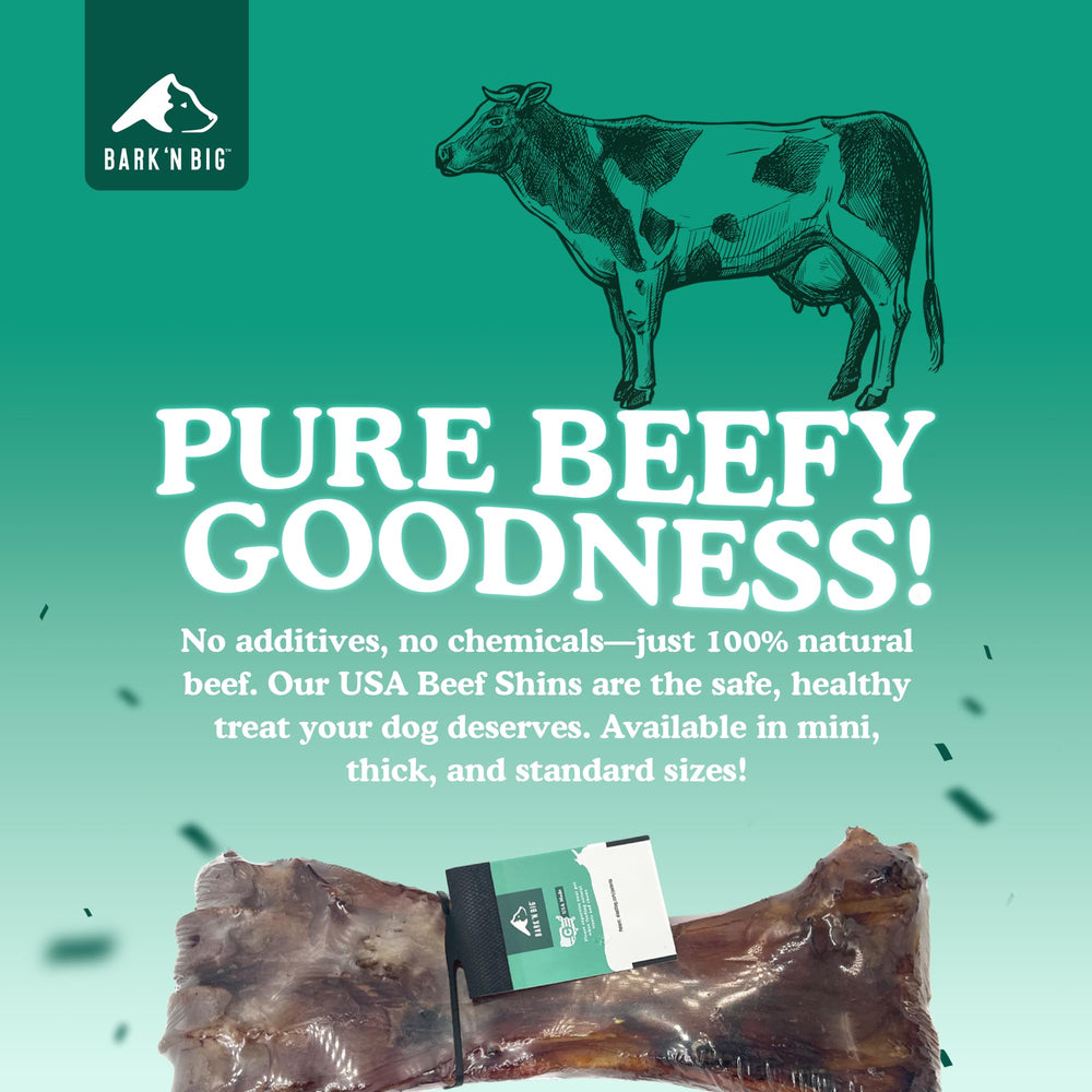 BARK'N BIG USA-sourced bone highlighting safety and natural ingredients.
