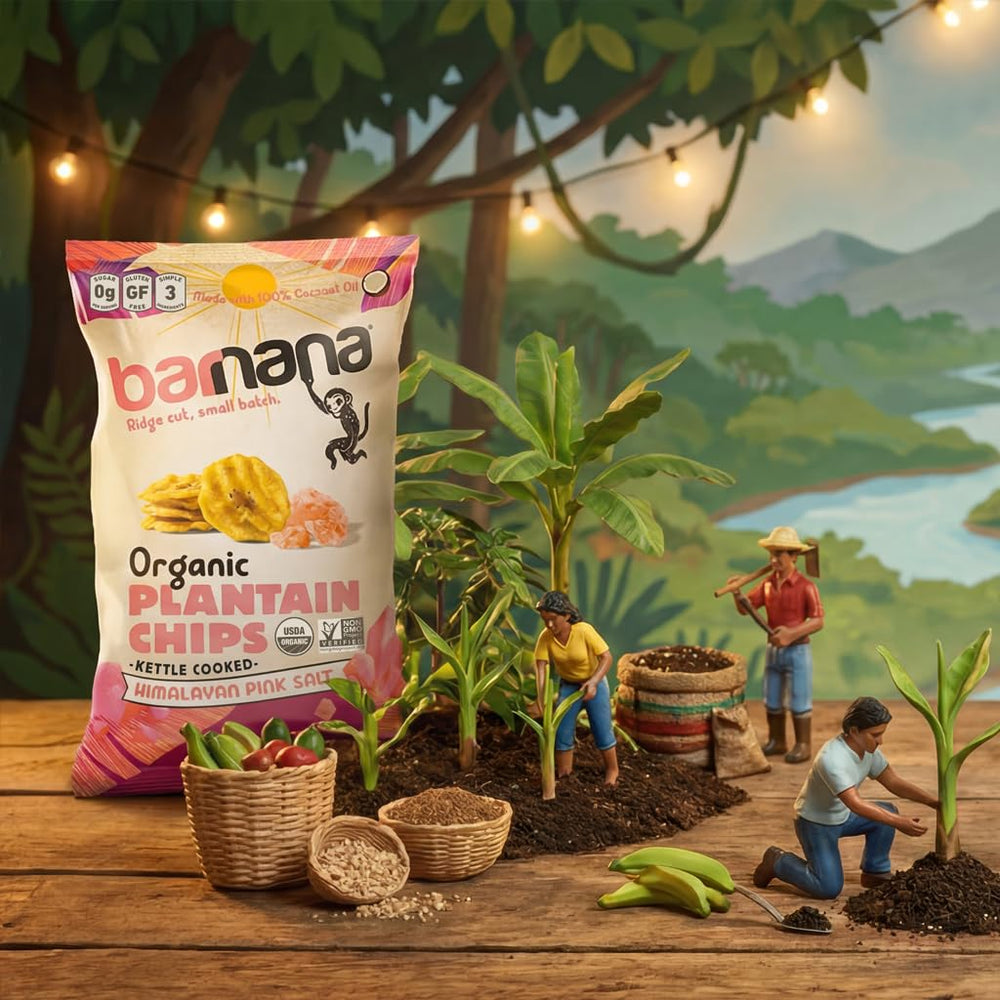 Barnana organic, vegan, paleo-friendly, grain-free chips suit many diets.
