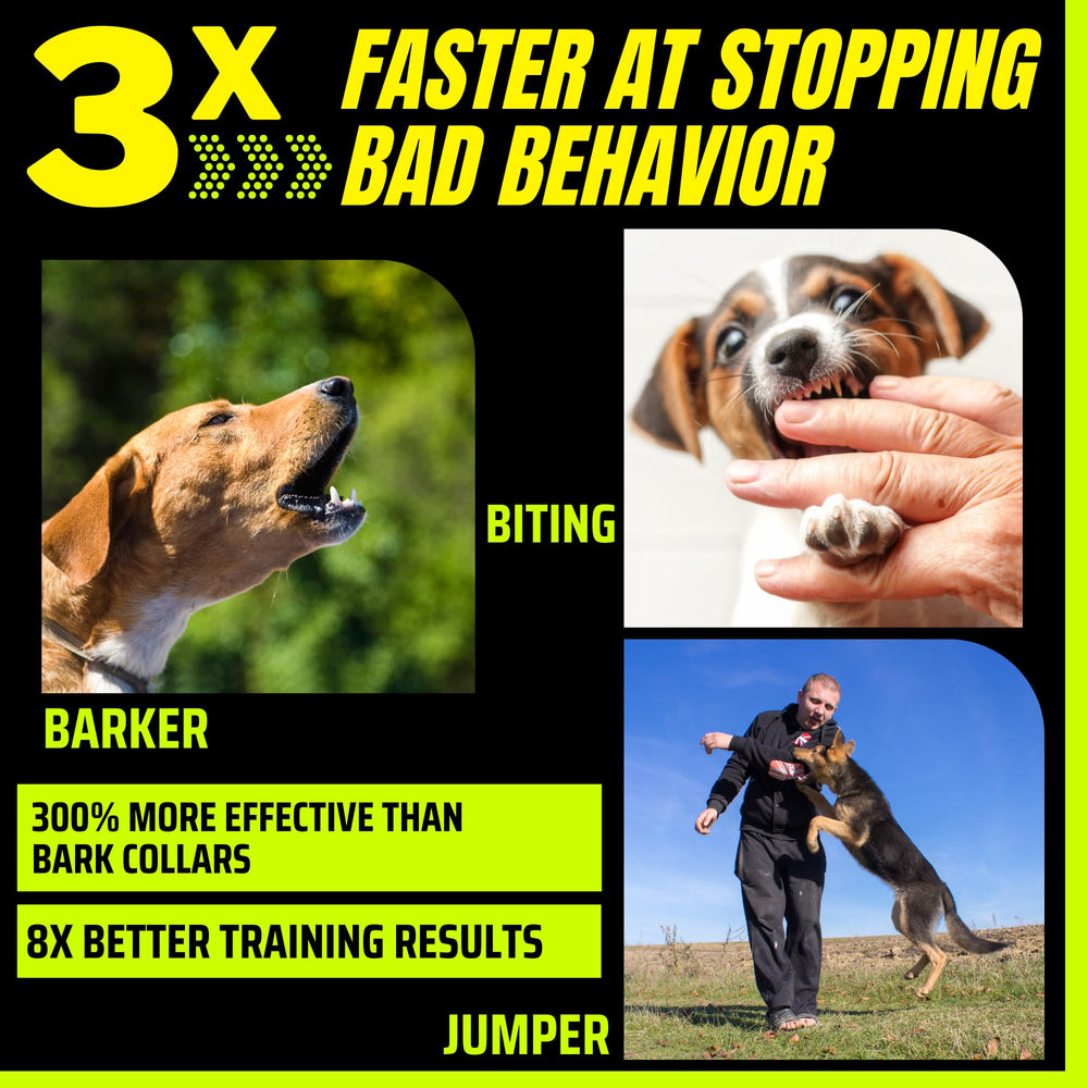 BarxBuddy 2nd Gen ultrasonic training mode illustration