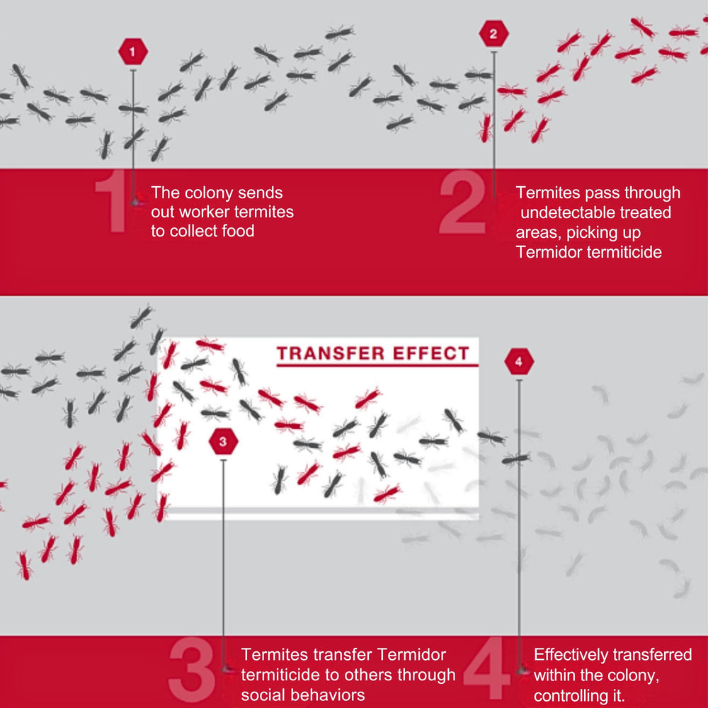 Non-repellent formula enables termite colony transfer for broader control.