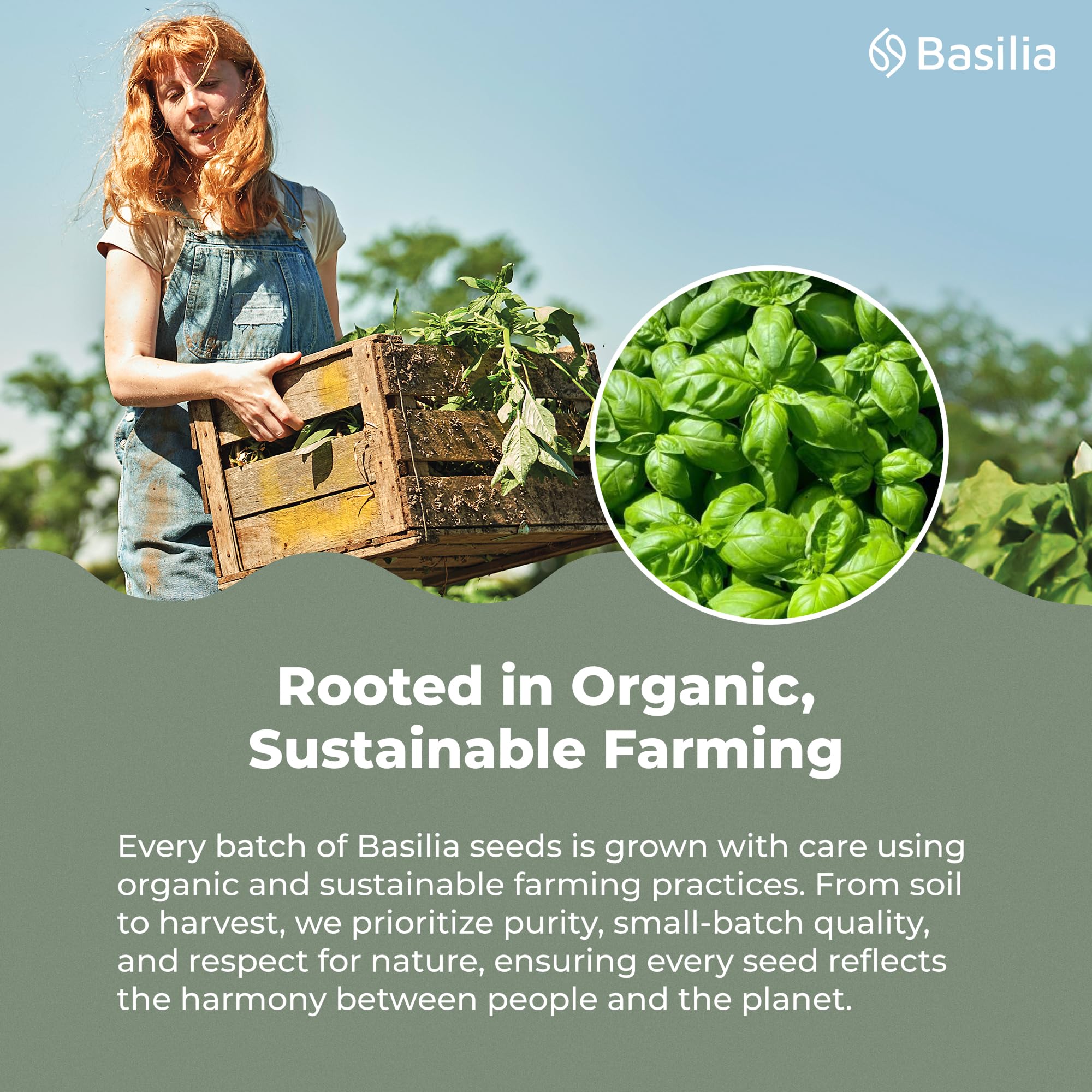 Basilia Basil Seeds as yogurt topping for texture and fiber