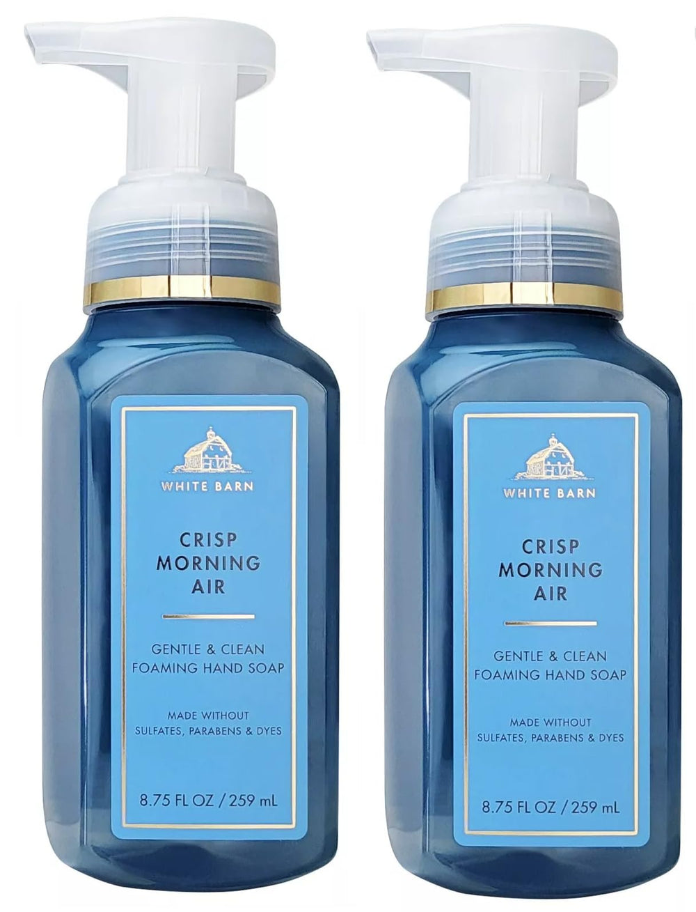 Bath & Body Works Crisp Morning Air foaming hand soap with pear note for refreshing wash.