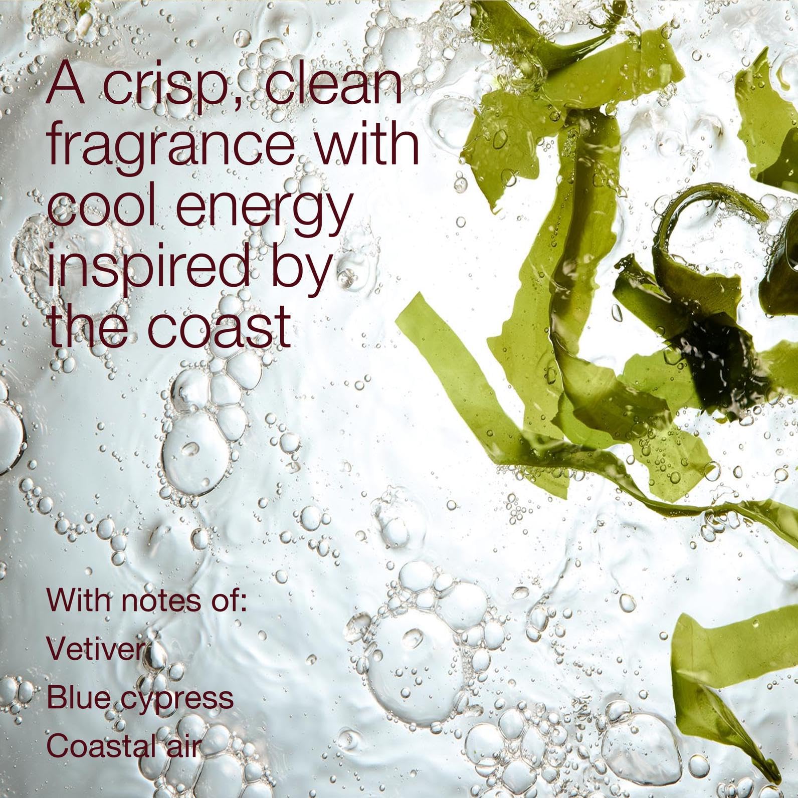 Bath & Body Works Ocean Scent spray-dispense for quick refresh.