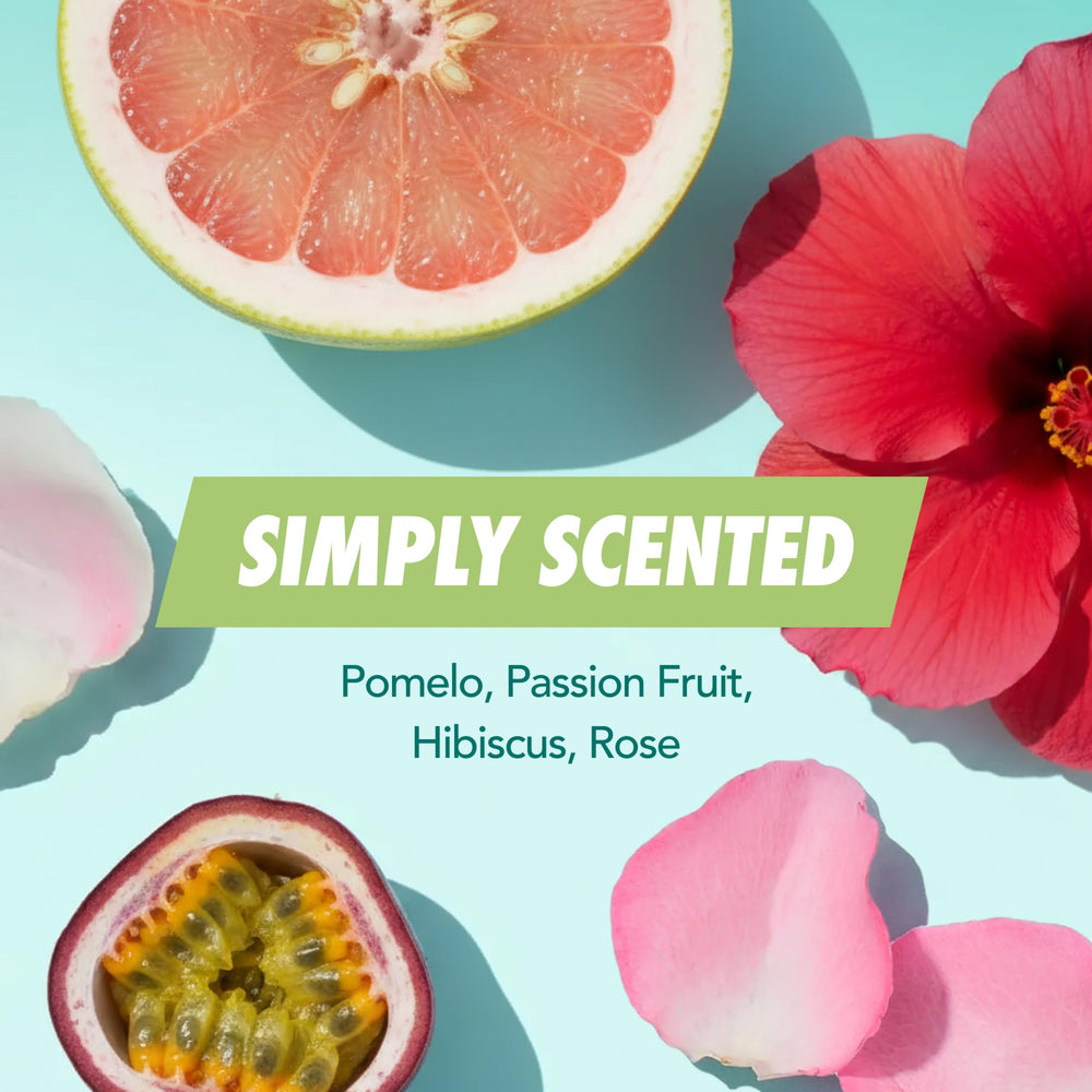 Powder applied to roots to absorb excess oil