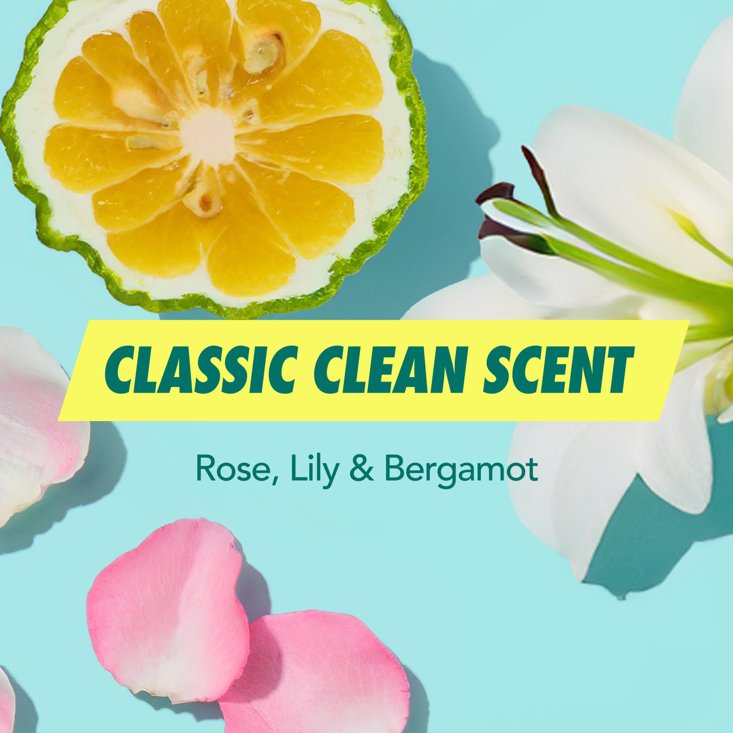 Batiste Original Dry Shampoo fragrance notes of bergamot and lily.