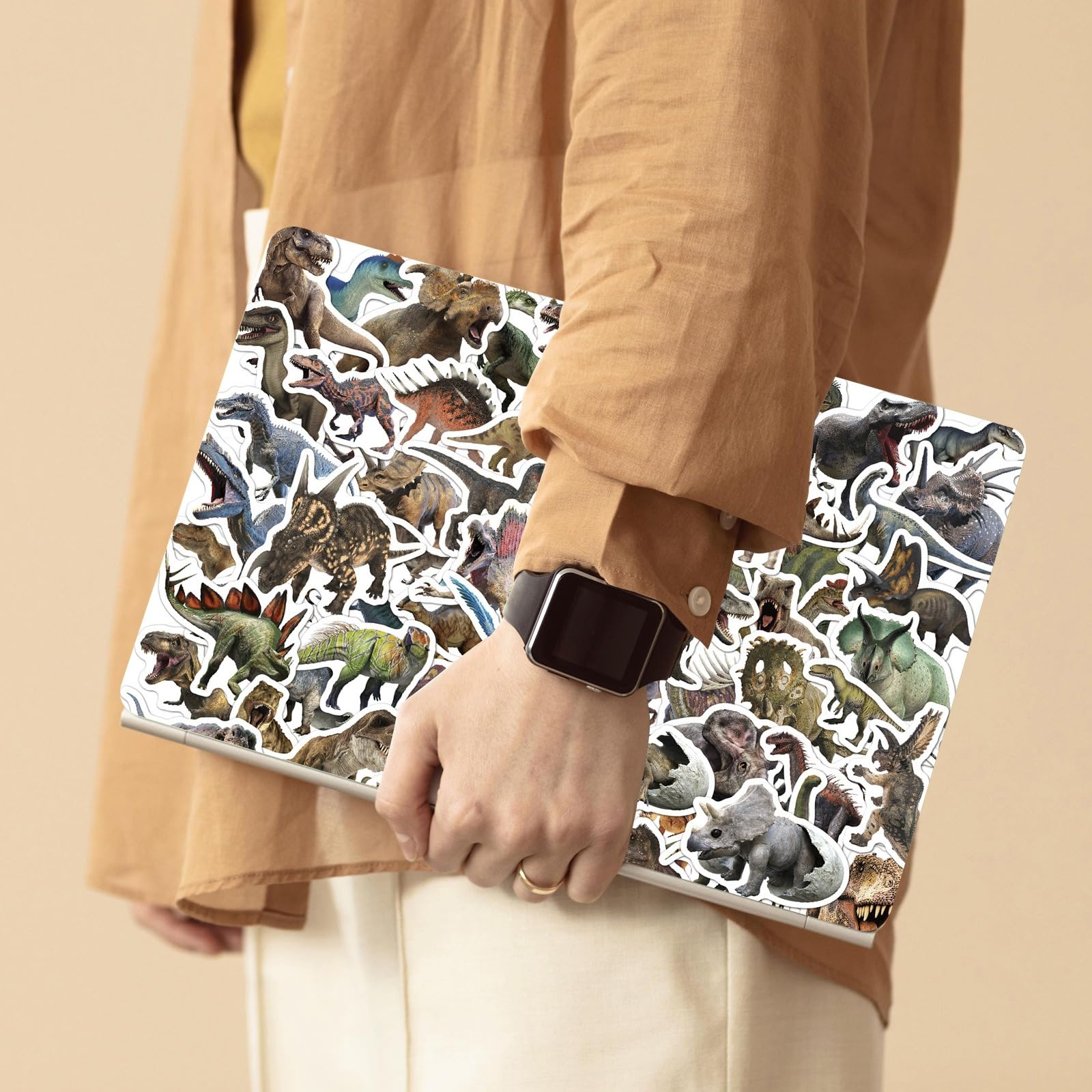 BBPOOL Jurassic dinosaur stickers on laptop add playful personalization