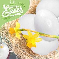 BCUEIDO paintable wooden eggs ideal for DIY Easter decorations