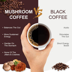 Bcuelov Mushroom Coffee mushroom blend lineup; supports focus and energy.
