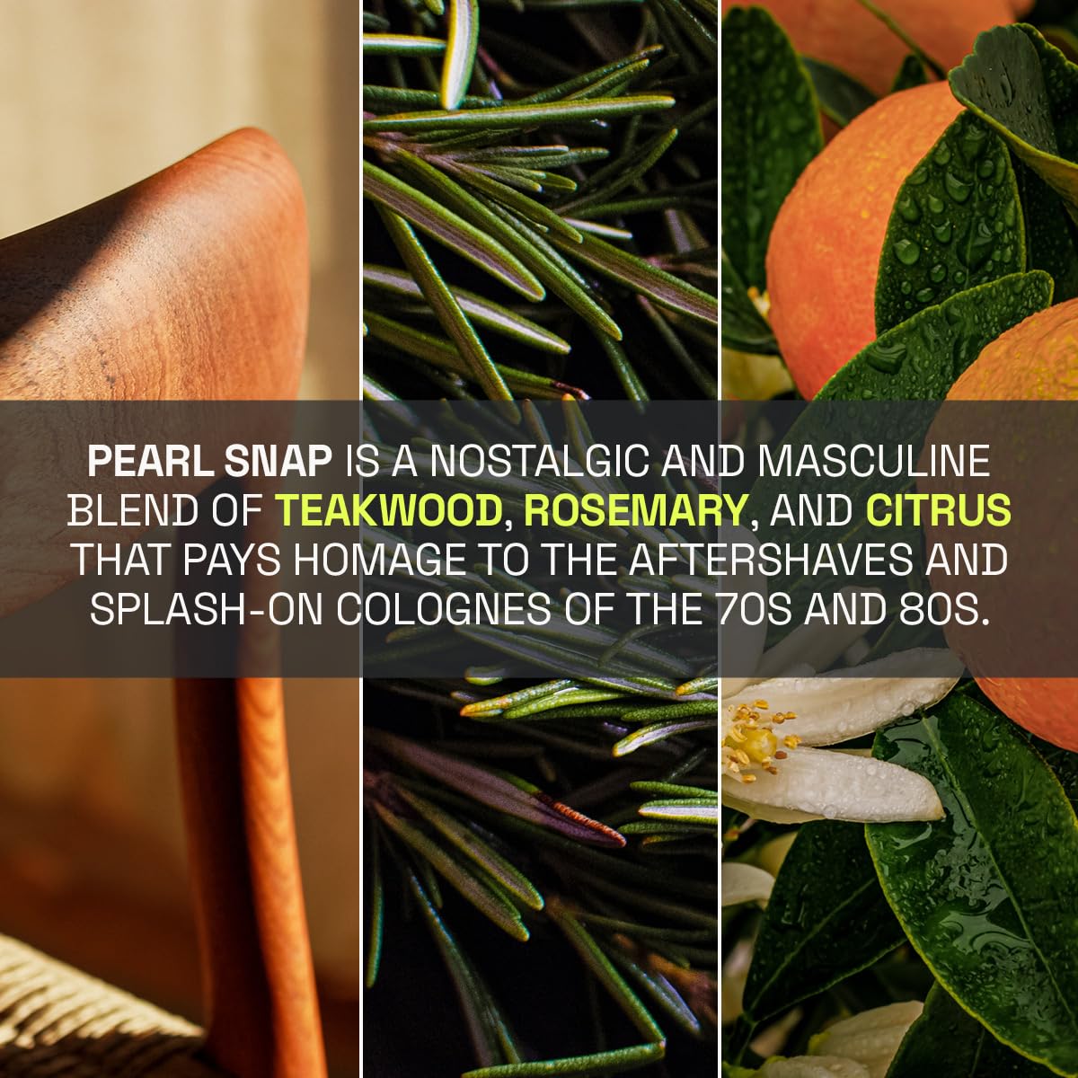 Beardbrand teakwood scent notes emanating from the bottle.