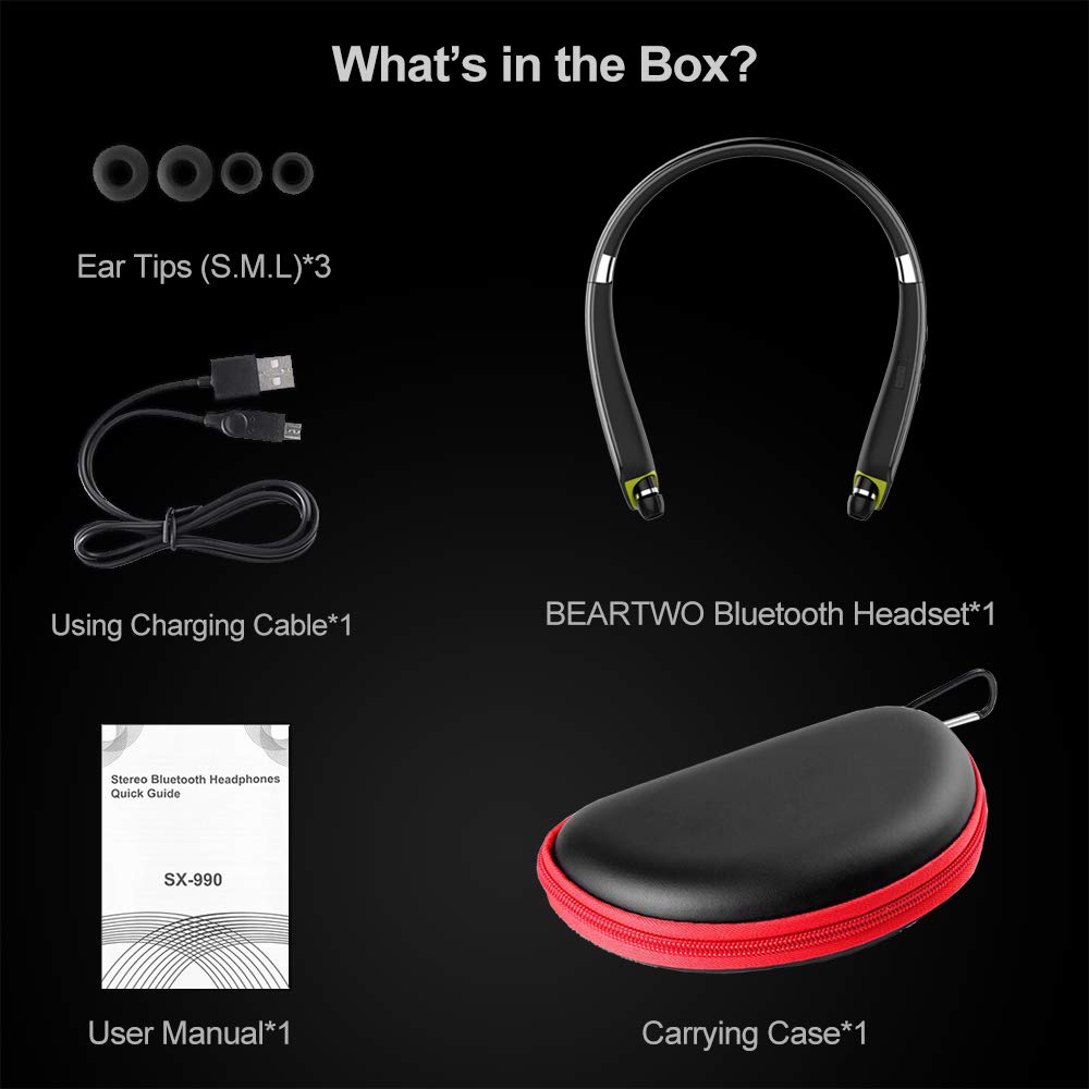 BEARTWO included accessories: carrying case and multiple ear tips for fit