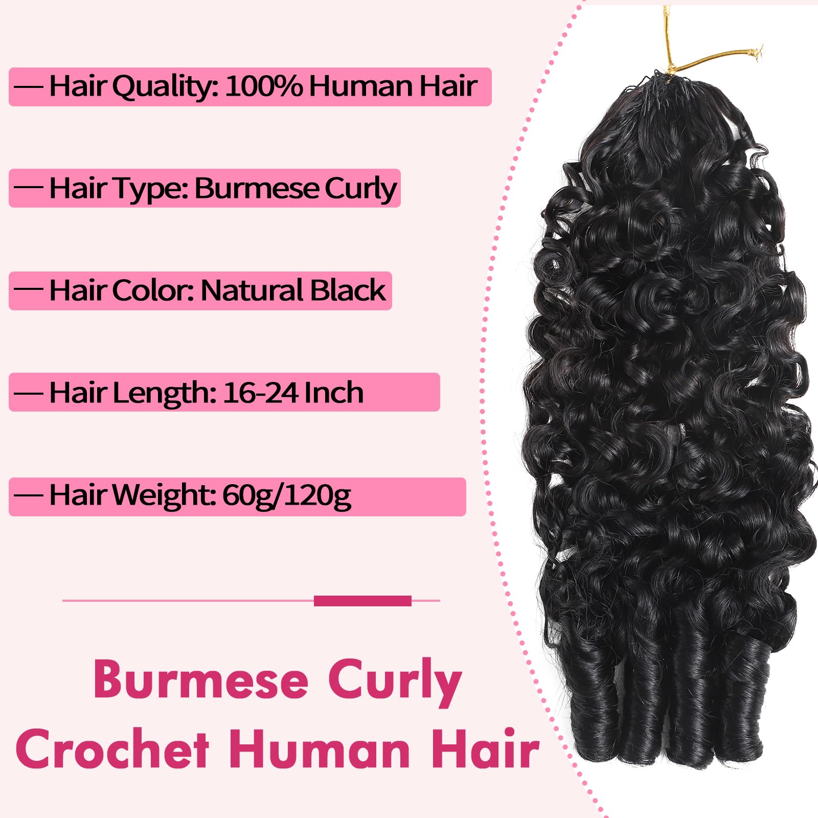 Beauty Queen Burmese Curly Hair gift box presentation ideal for gifting