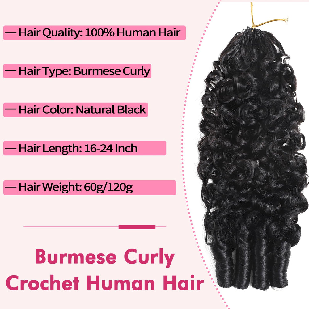Beauty Queen Burmese Curly Hair gift box presentation ideal for gifting