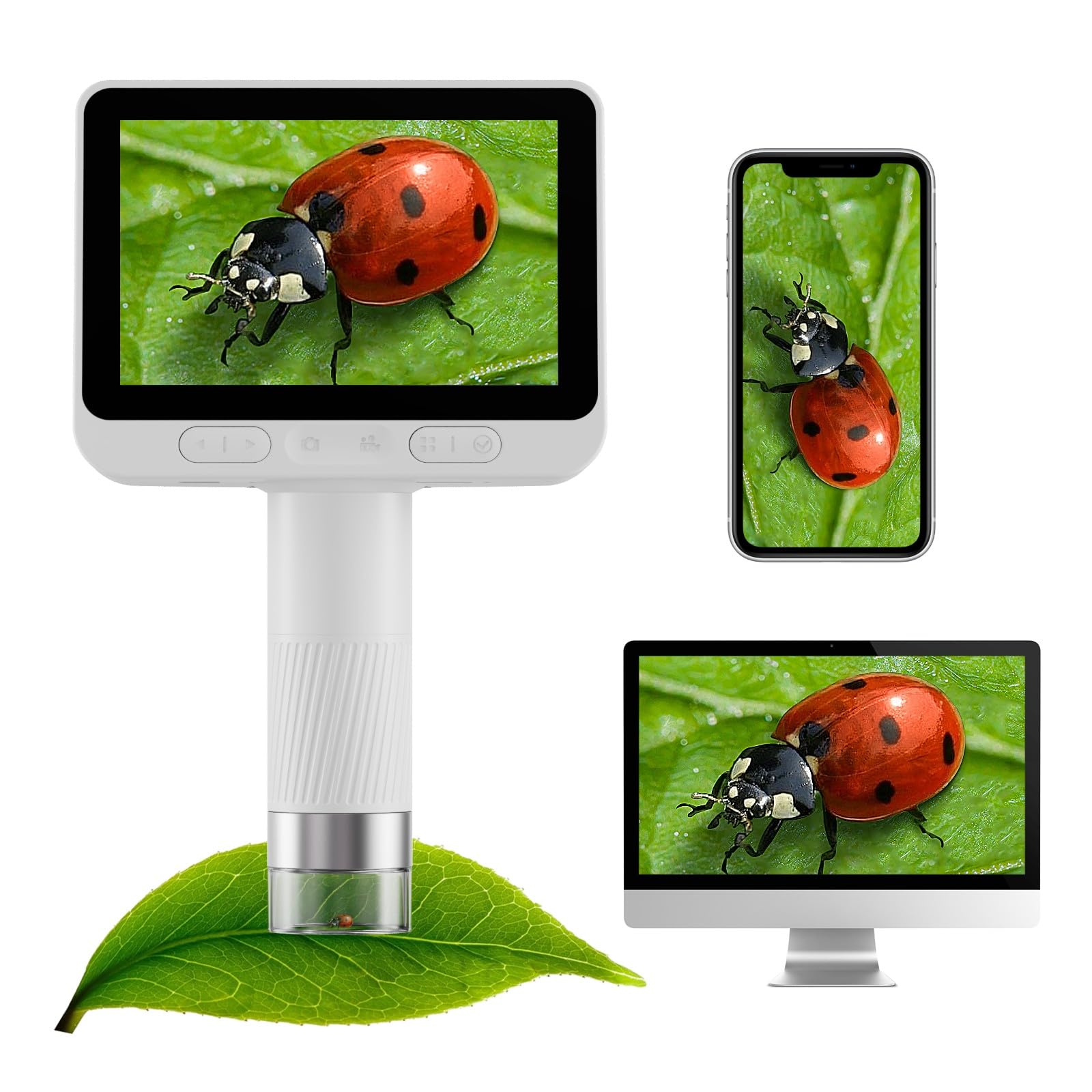 BEAVERLAB Finder 4.0 pocket-microscope fits in bags for on-the-go learning.