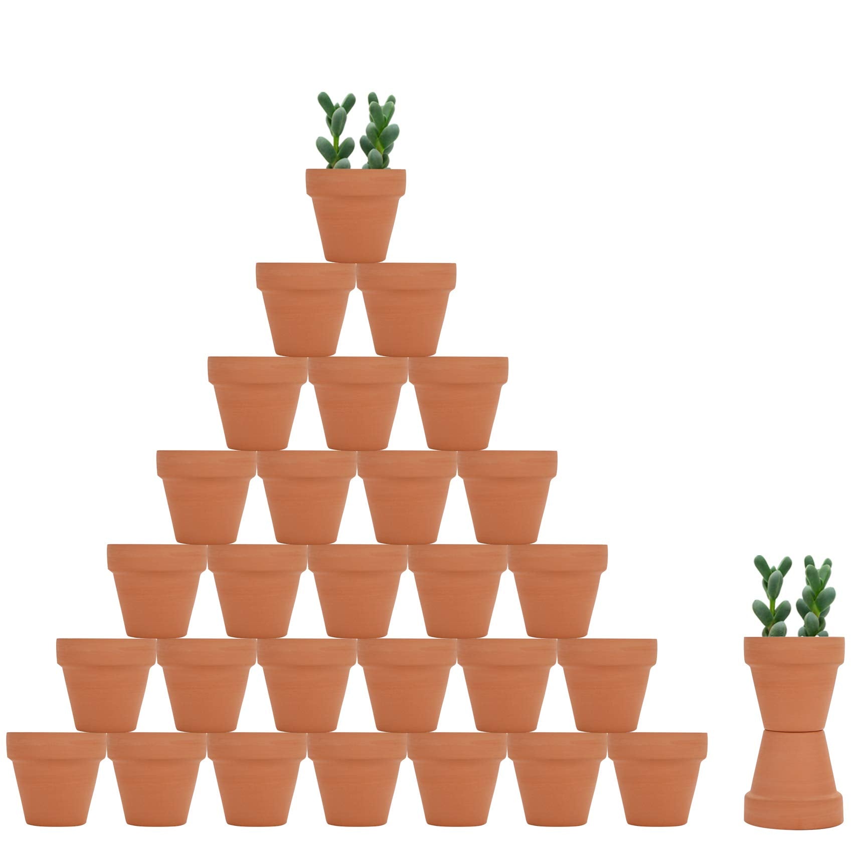 Becory 32pcs mini terracotta pot with 2in opening for neat succulent displays