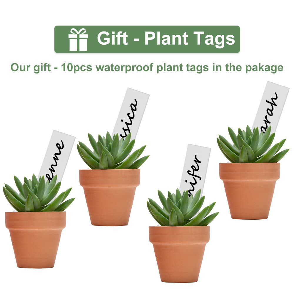 Becory indoor outdoor plant pots suitable for herbs and small plants