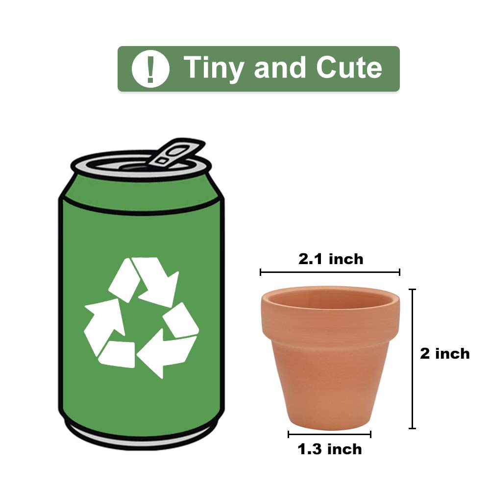 Becory terracotta pot showing drainage hole for healthy plant moisture control