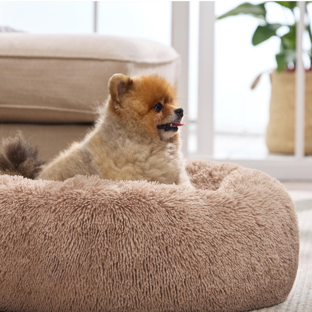 Bedsure camel bed uses a removable cover for easy maintenance.