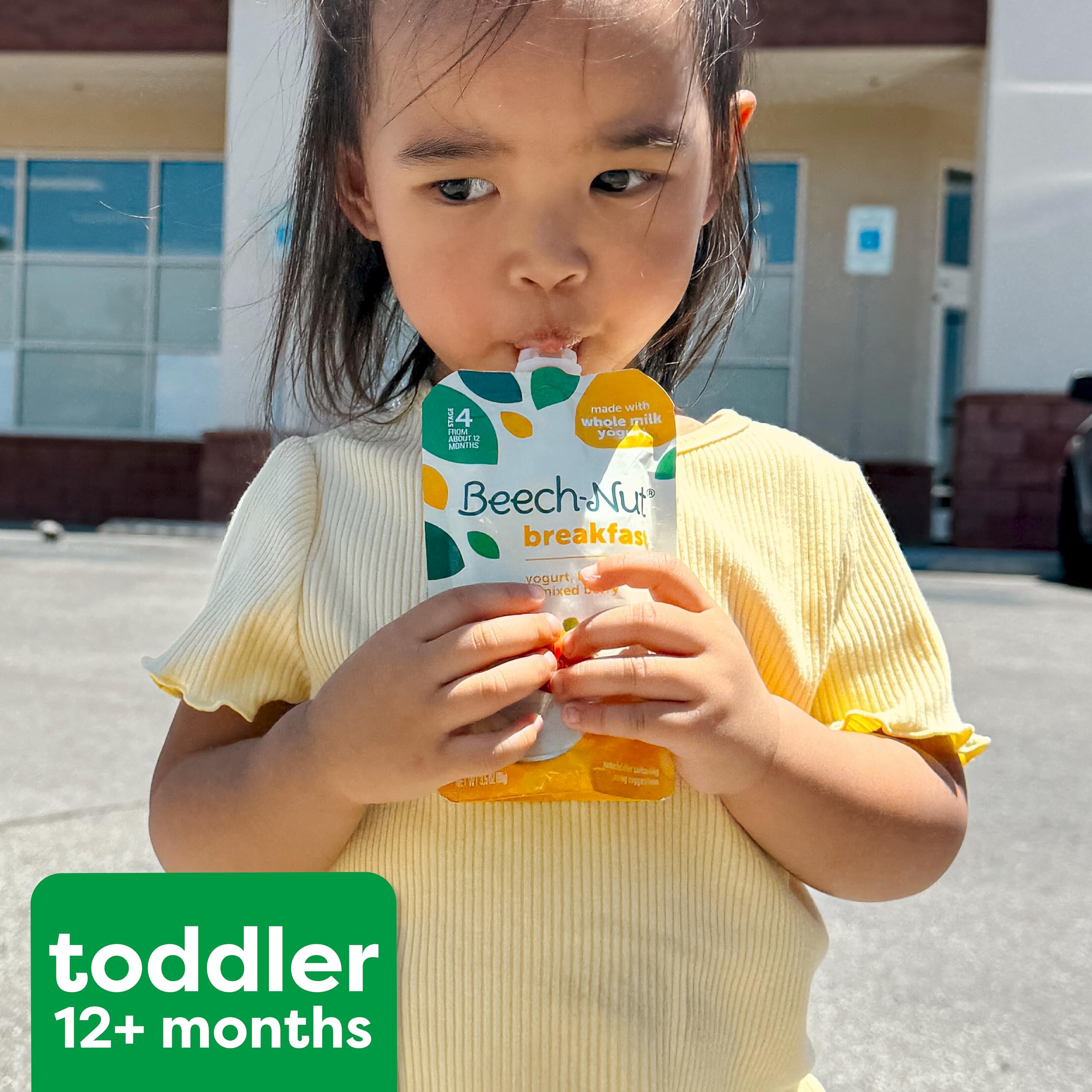 Beech-Nut breakfast pouch - colorful packaging for toddlers.