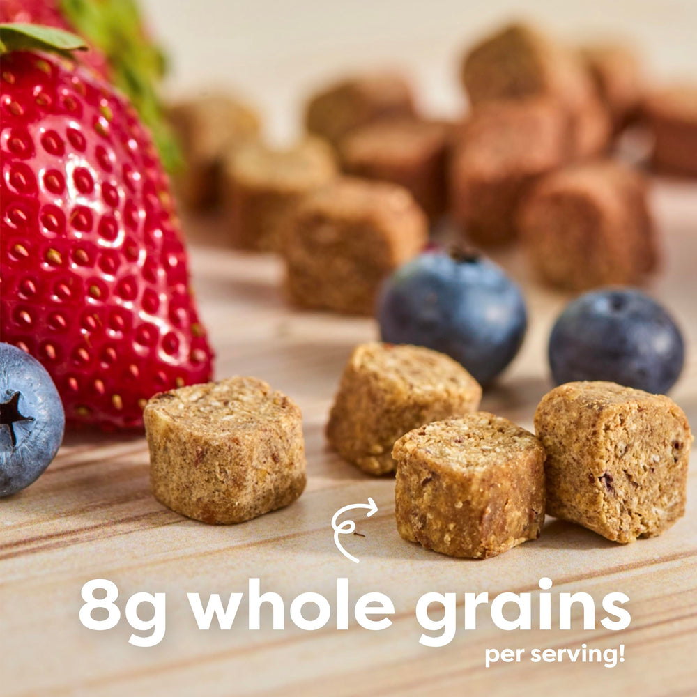 Beech-Nut Oaty Bites nut-free, gluten-free, dairy-free labeling for classrooms.