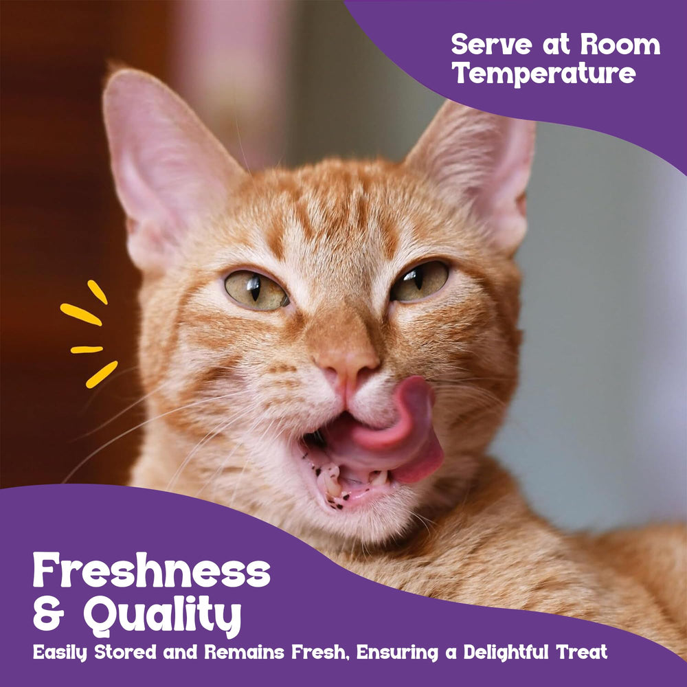 Beefeaters paw-friendly squeeze image for easy hand-feeding training