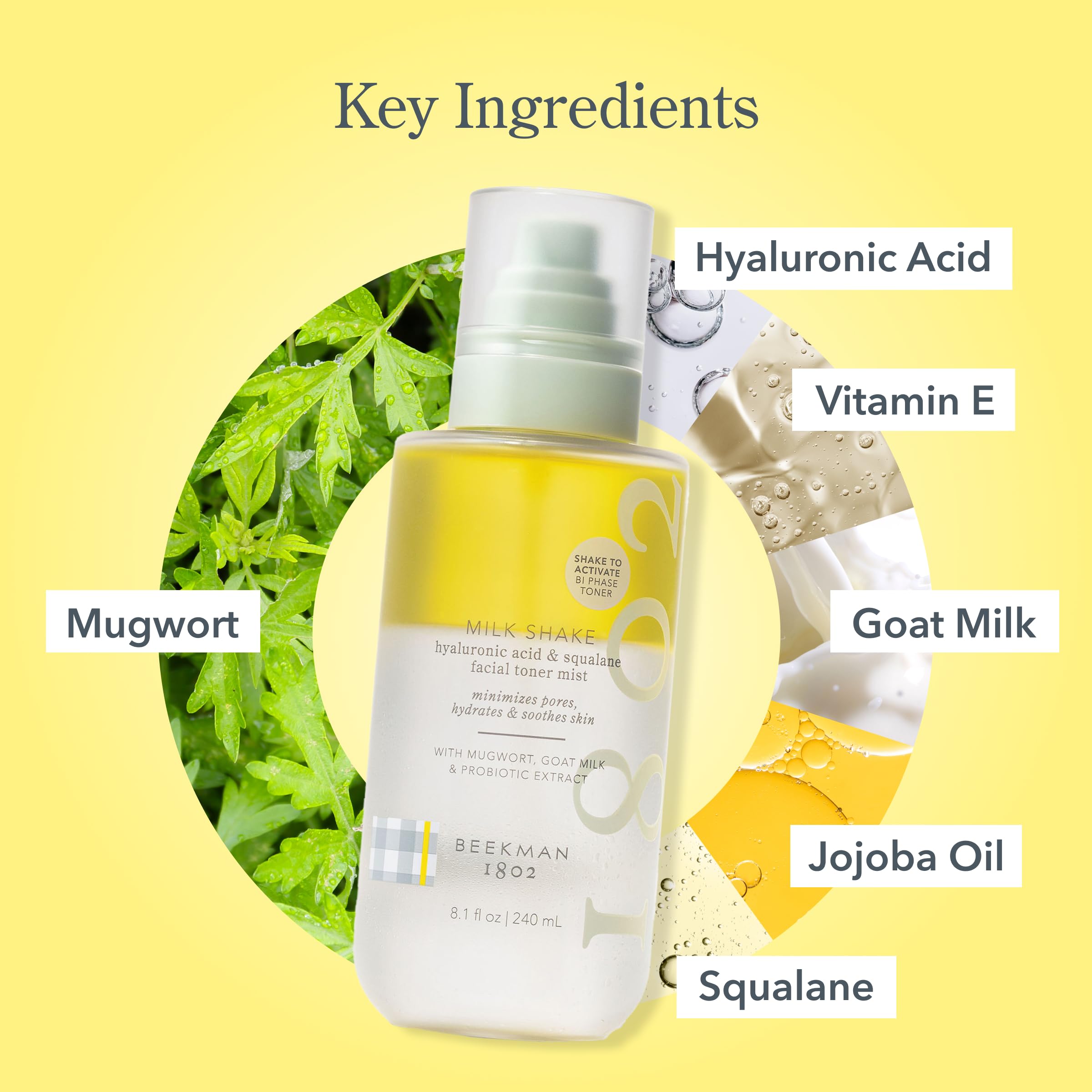 Close-up highlights squalane and mugwort for hydration and balance.