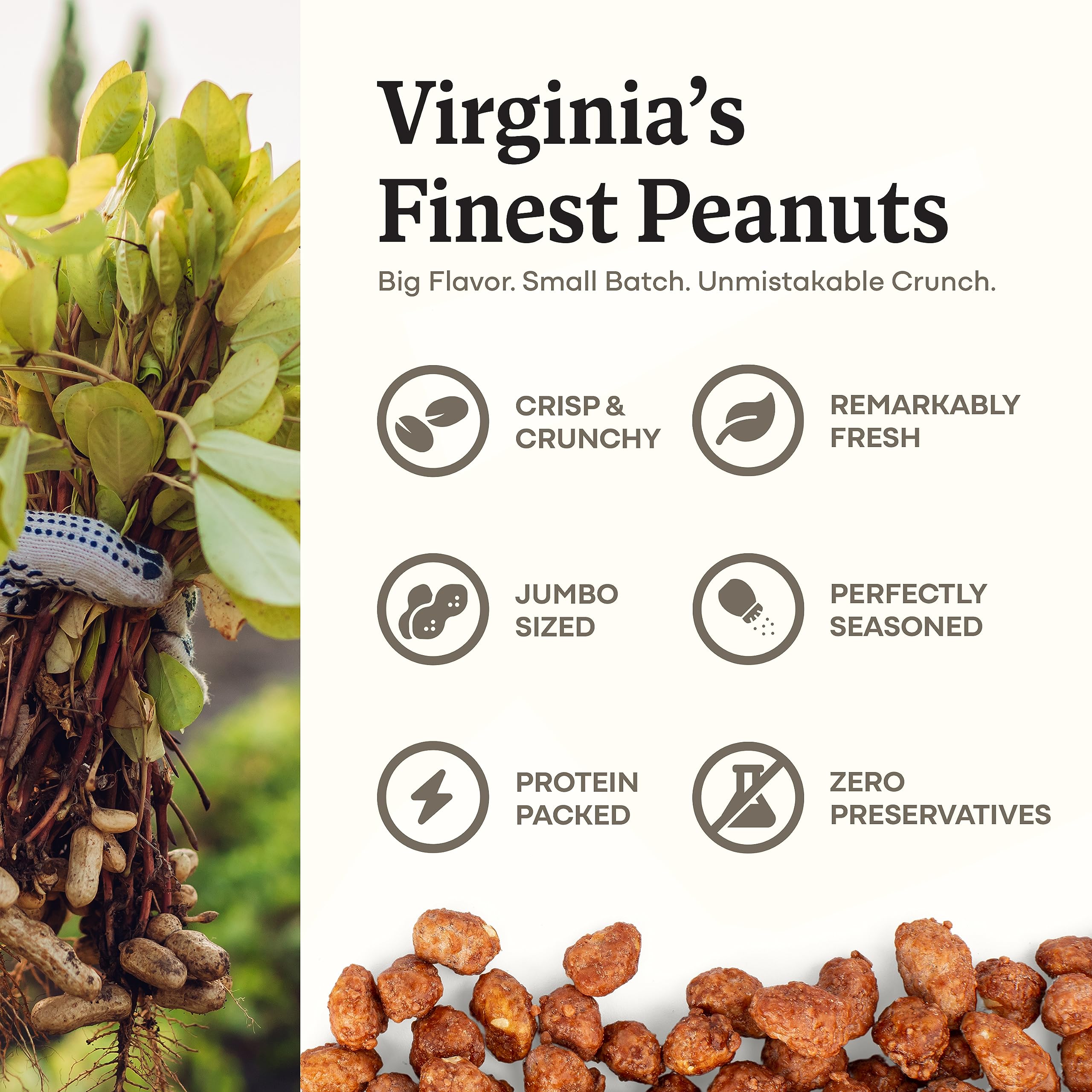 Belmont Peanuts hand-seasoned toffee peanuts showcase premium texture.