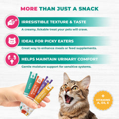 Beloved Pets urinary support cranberry tube close-up, promoting hydration and urinary health