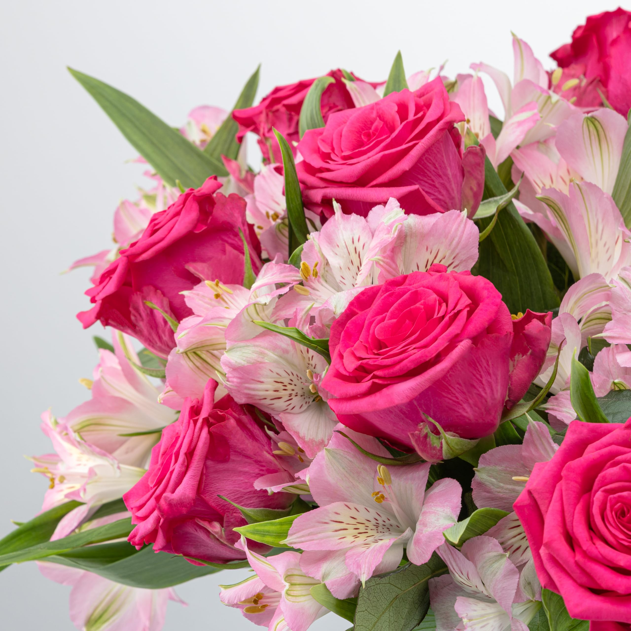 Benchmark Bouquets pink roses and pink alstroemeria in full bloom for visual appeal.