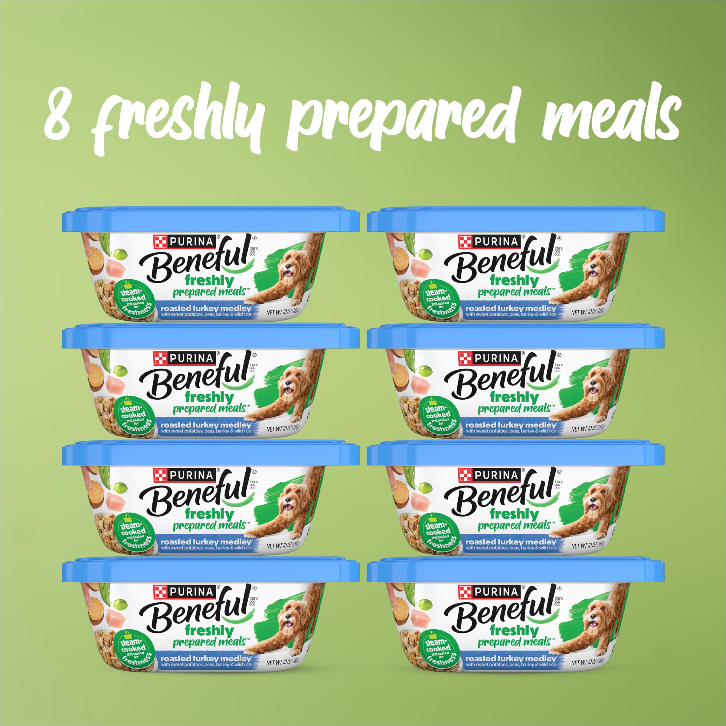 Beneful Roasted Turkey Medley tub with sauce ready for mealtime.