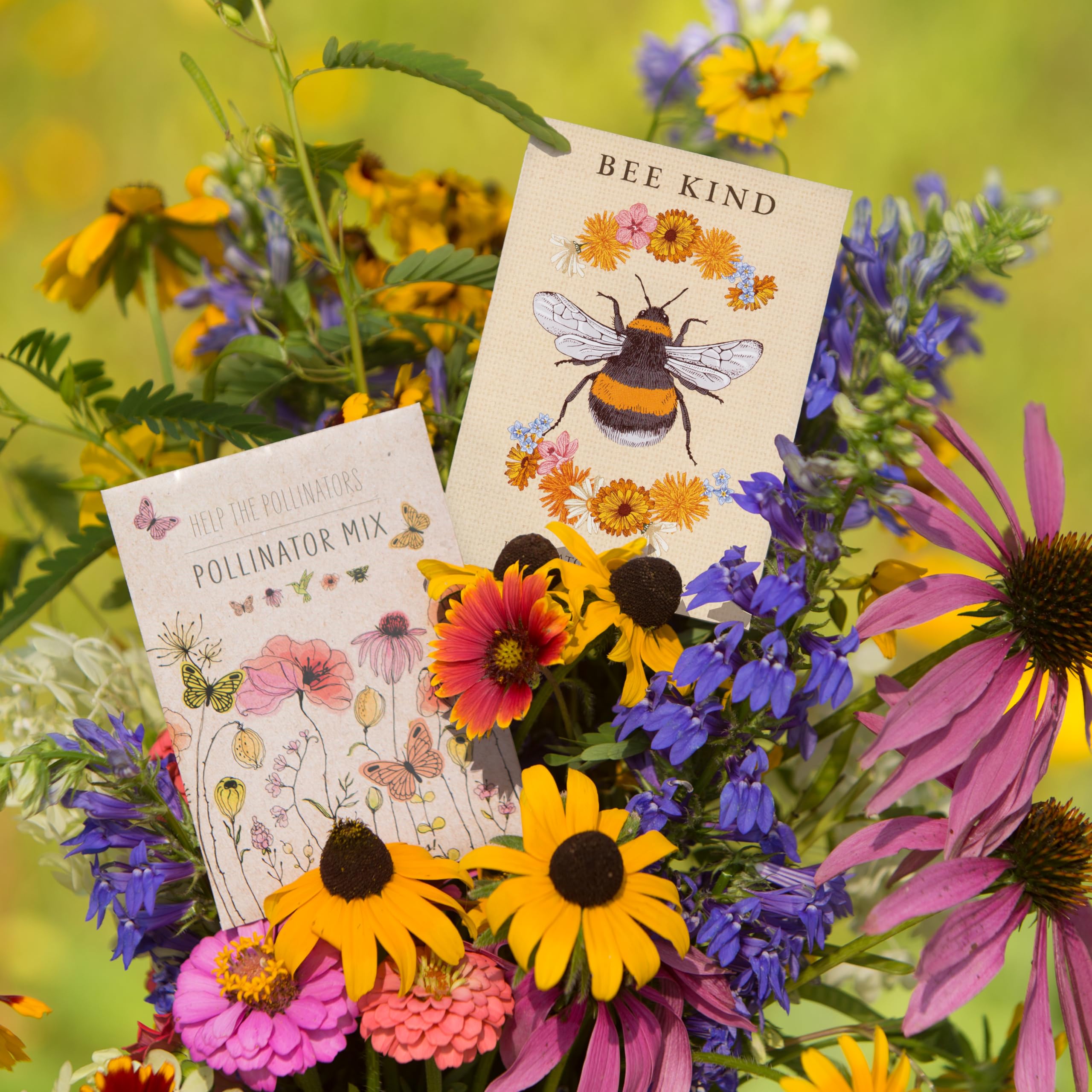 Bentley Seed Co. pollinator flowers burst across a sunny bed