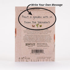 Bentley Seed Co. pollinator mix garden idea shows bloom potential