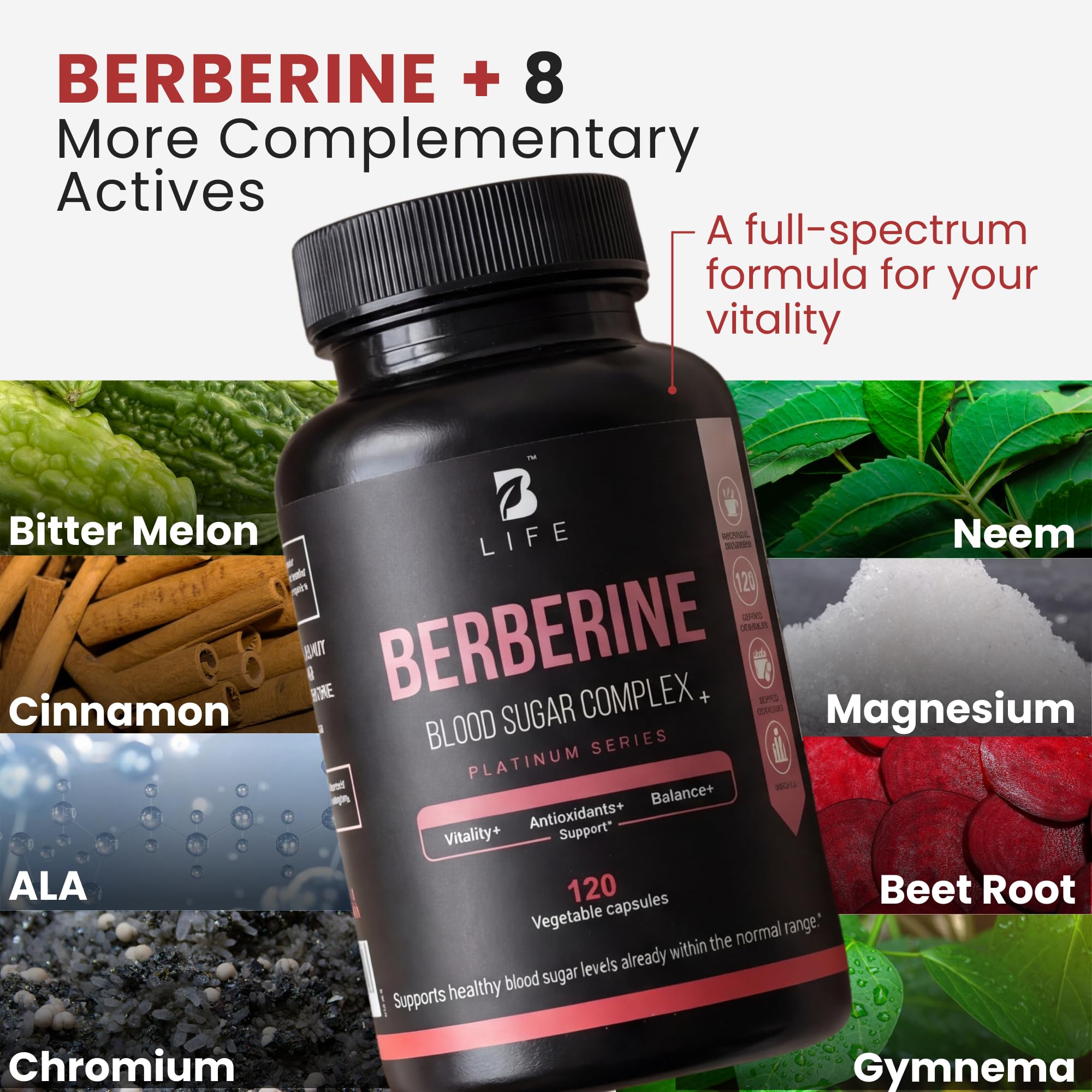 Berberine GMP seal indicating quality manufacturing standards.