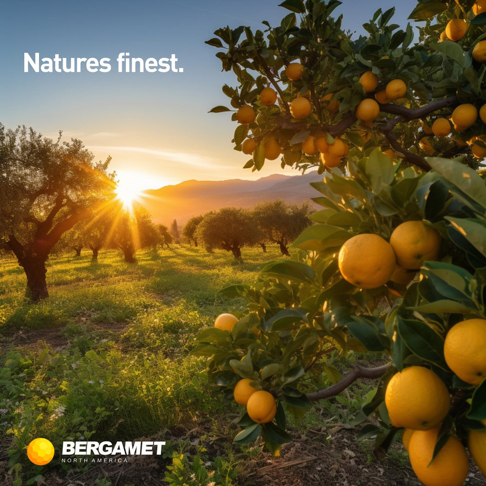 BergaMet vegan allergen-free capsules pictured for clean dietary compatibility