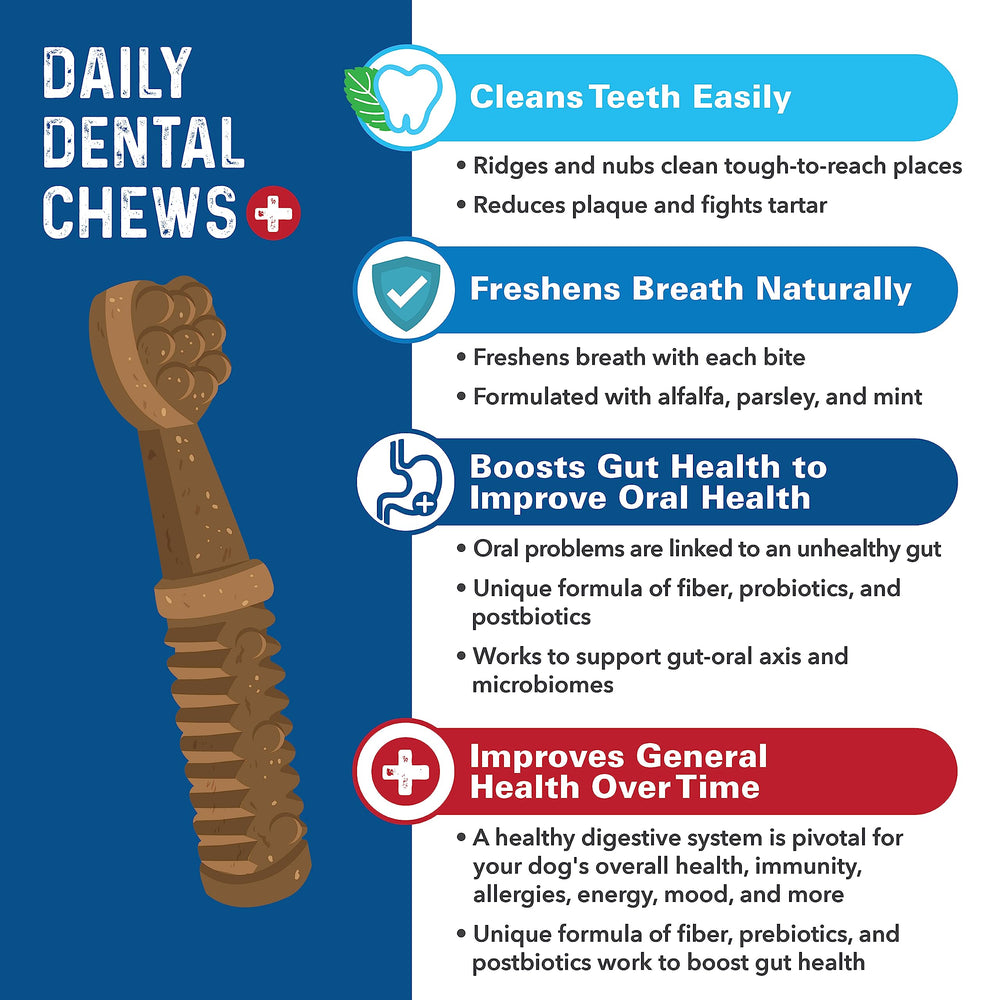 Bernie's Charming Chompers – amélioration potentielle de la digestion avec des ingrédients naturels.