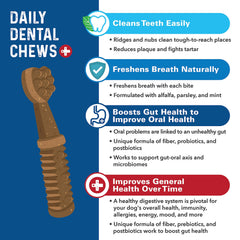 Bernie's Charming Chompers – amélioration potentielle de la digestion avec des ingrédients naturels.