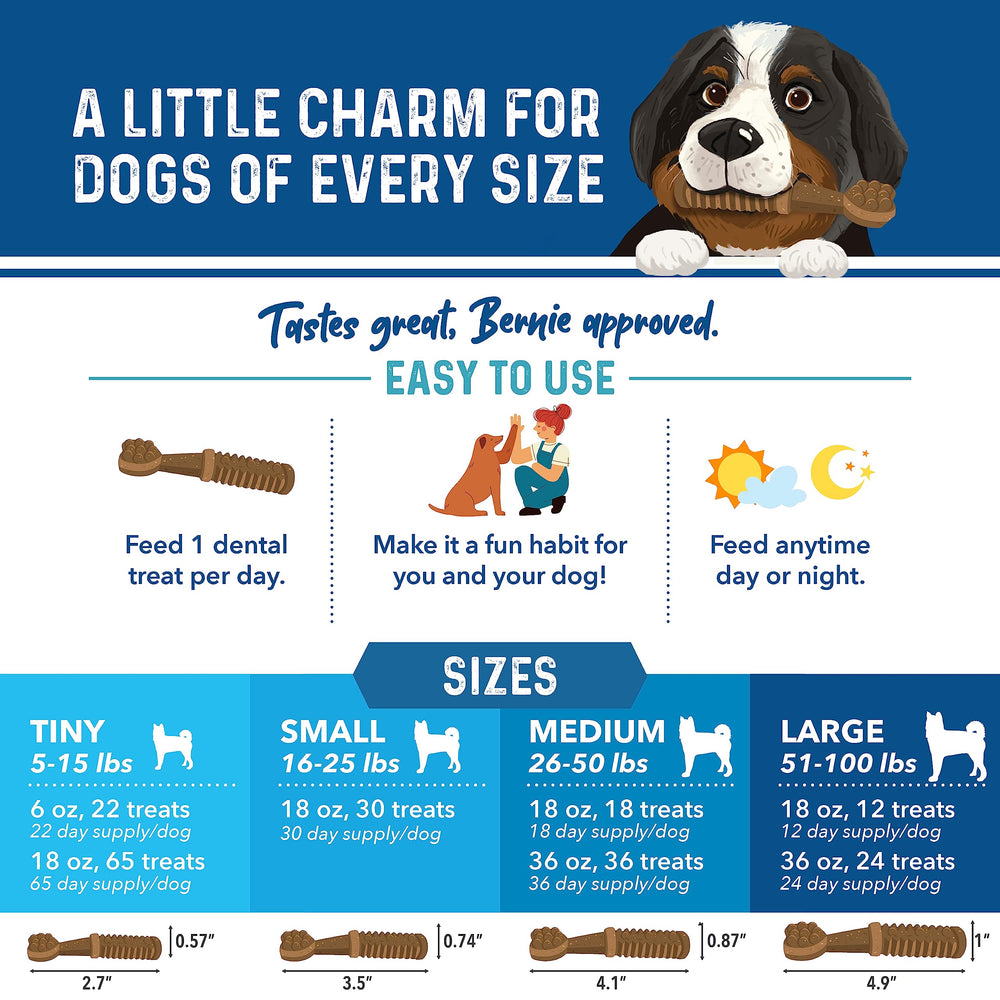 Bernie's Charming Chompers – fabriqué aux États‑Unis et soumis à des contrôles qualité stricts.