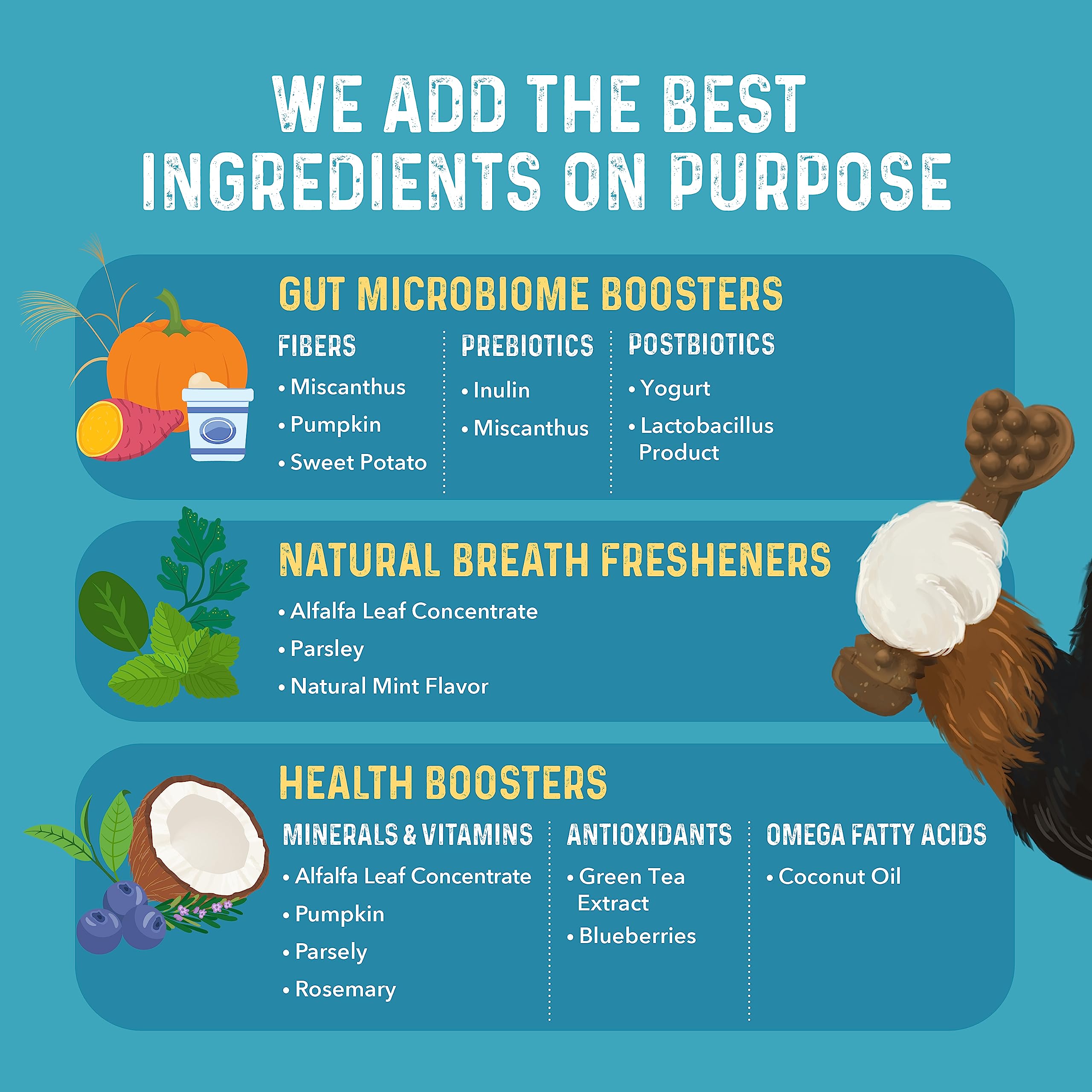 Bernie's Charming Chompers – sans colorants artificiels ni gluten pour une alimentation plus naturelle.