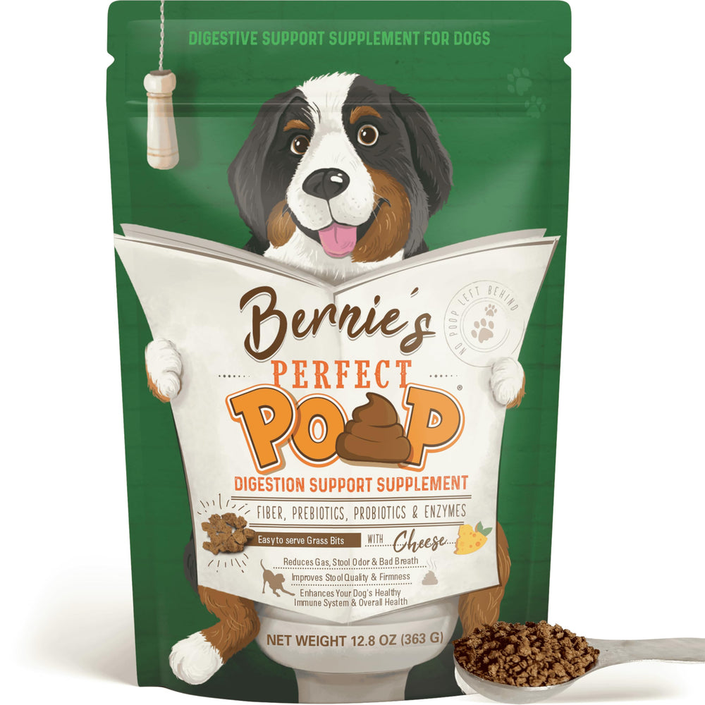 Bernie's Perfect Poop bottle on the counter supporting gut health