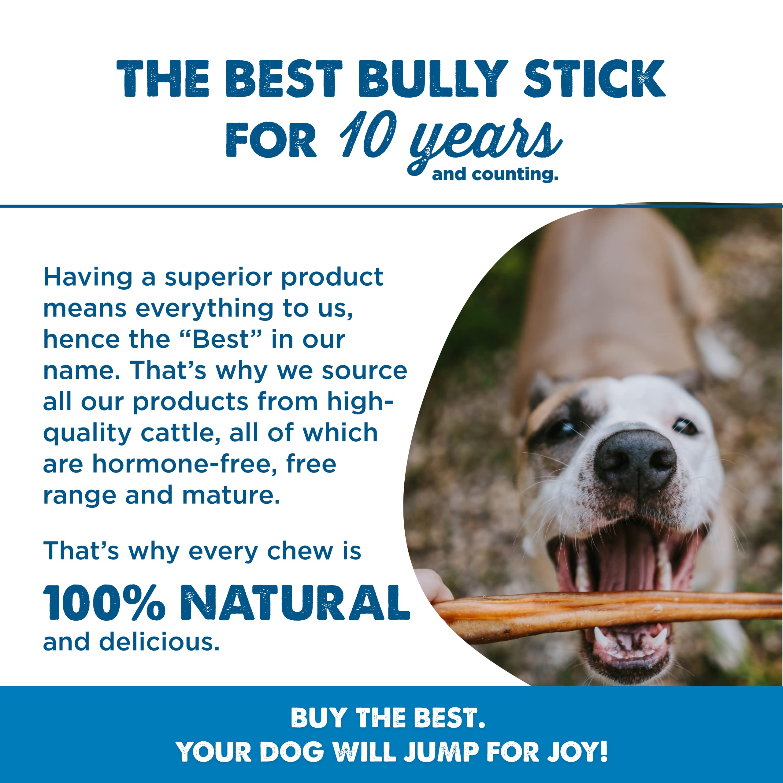 Best Bully Sticks dental-health chew supports chewing action and saliva.
