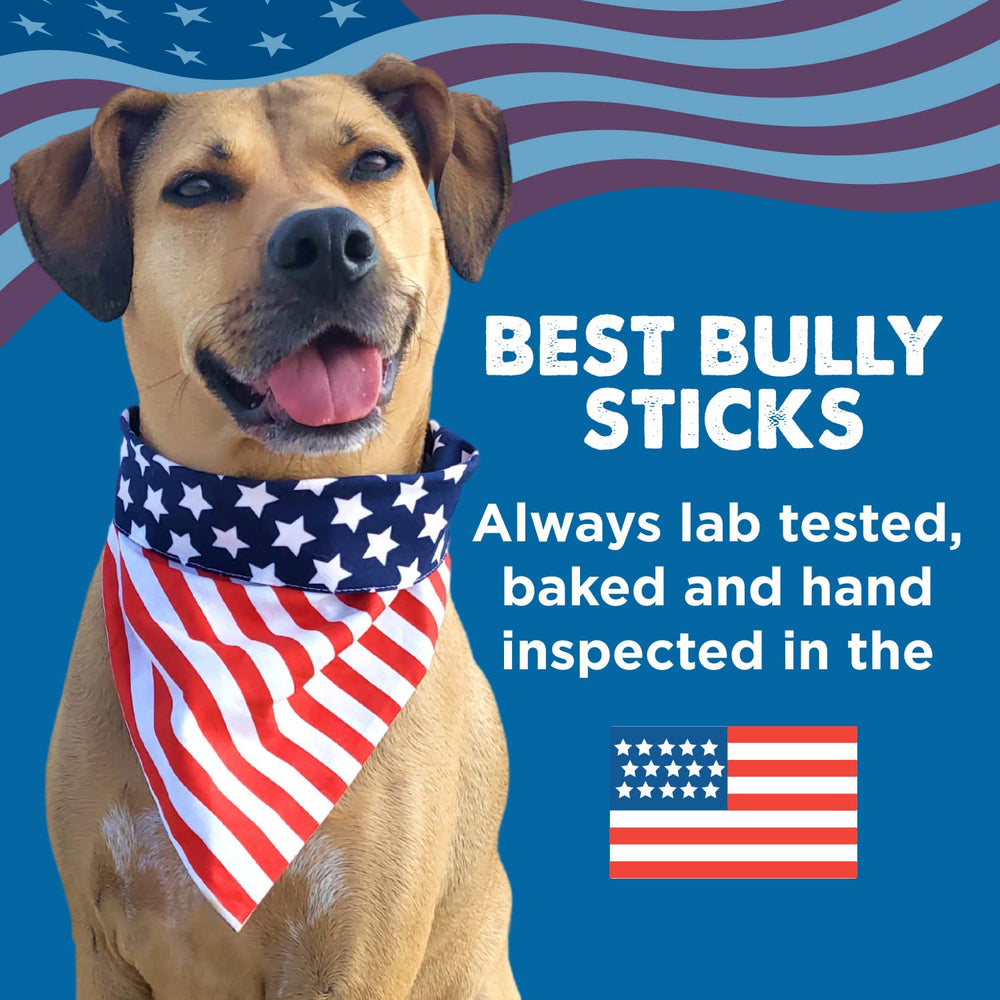 Best Bully Sticks grain-free beef: convenient single-ingredient treat for picky eaters.