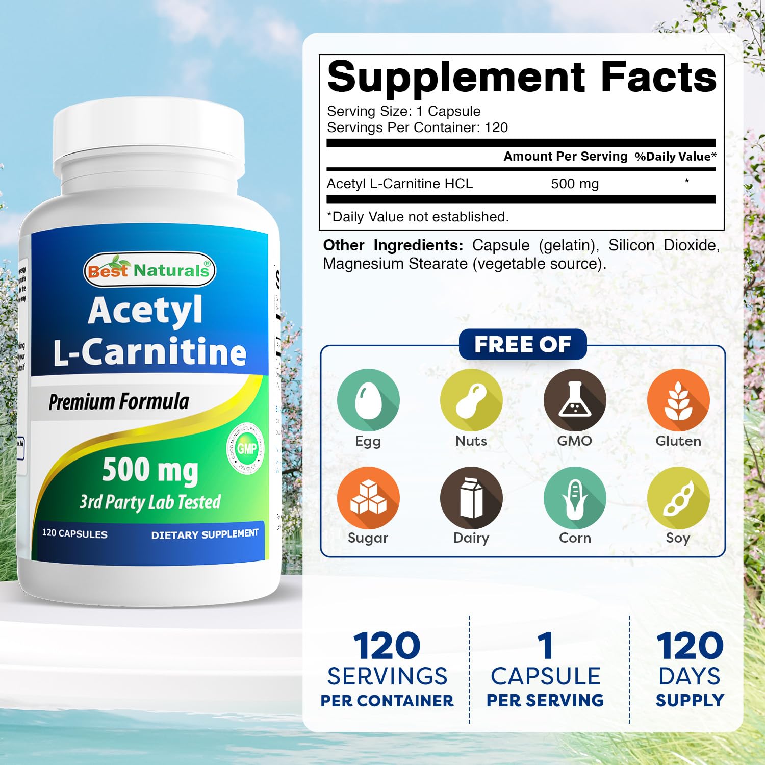Close-up of Best Naturals Acetyl L-Carnitine capsules
