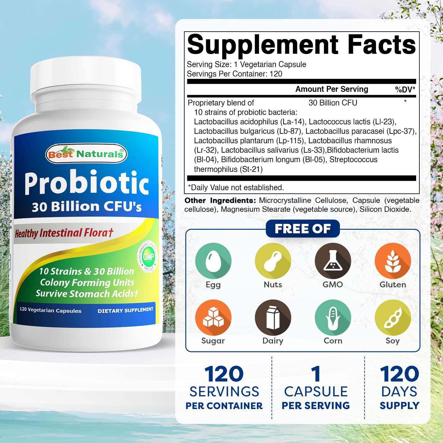 Best Naturals Probiotic capsules close-up—10 strains for diverse intestinal flora.