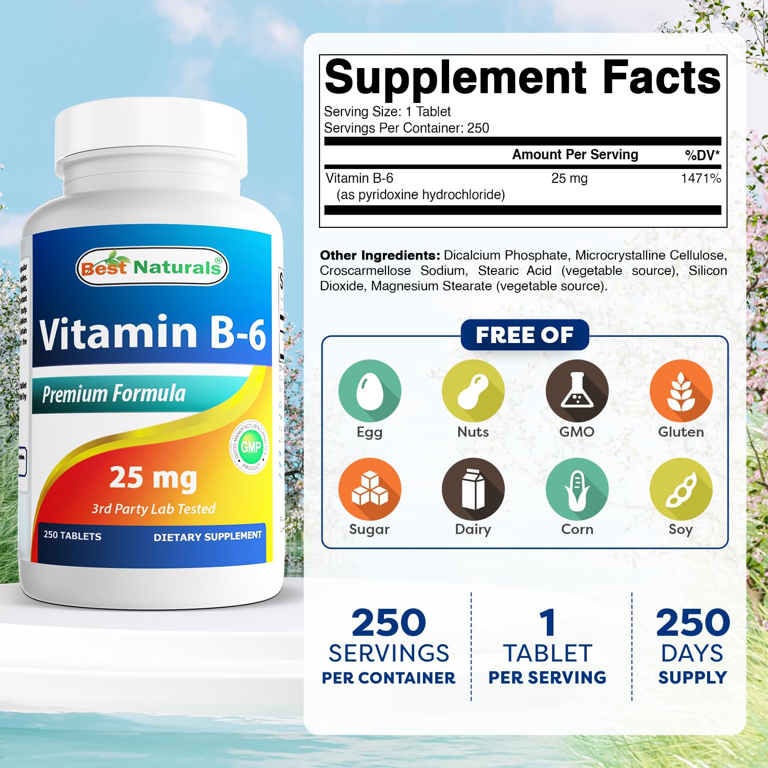 Best Naturals Vitamin B-6 label highlights potential support for healthy homocysteine levels.