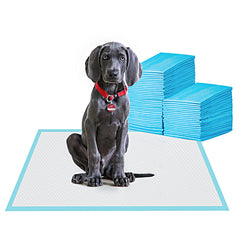 BESTLE large pet training pad full view, 24x24 inches, ideal for training and mess containment