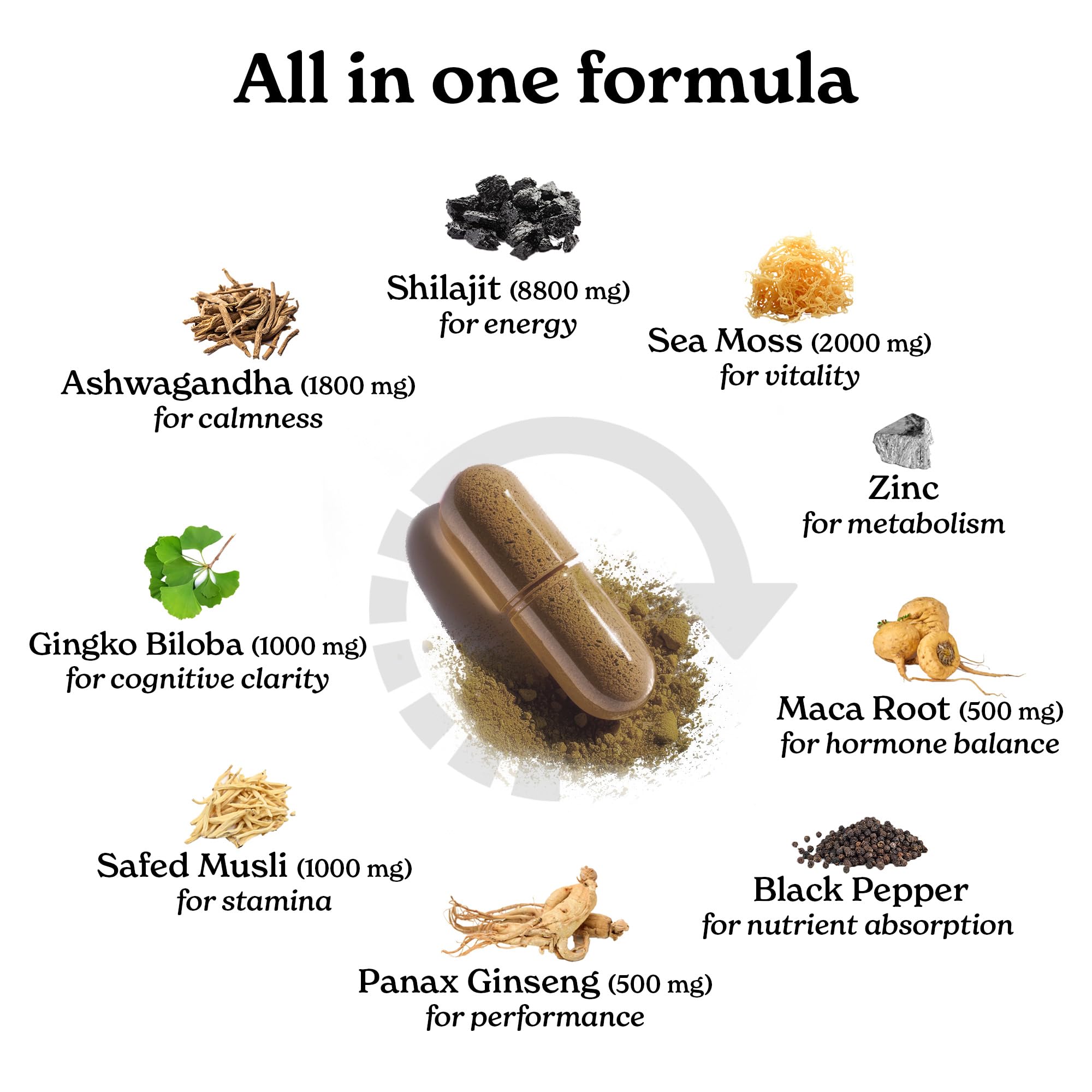 Better Alt shilajit capsules outside bottle show convenient daily consumption.