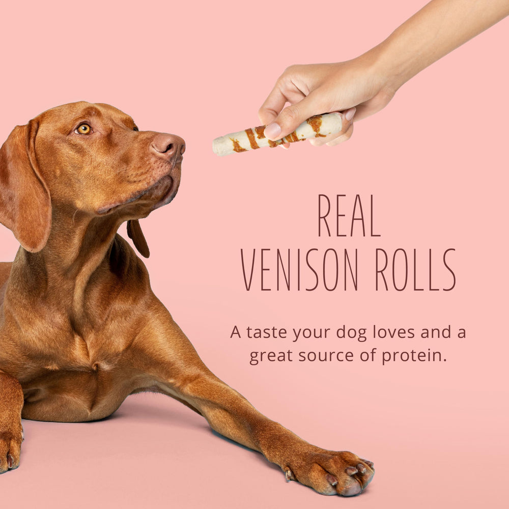 Better Belly Proteins venison roll real venison aroma appealing to dogs.